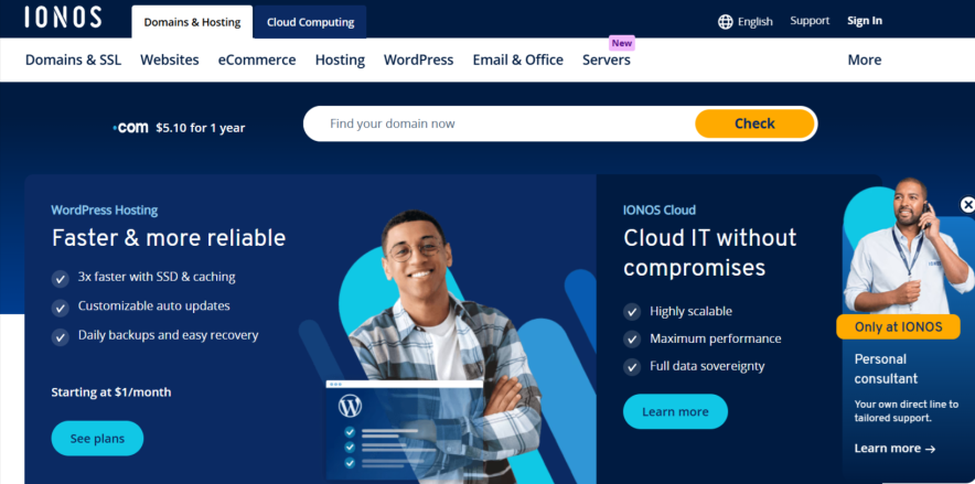ionos hosting